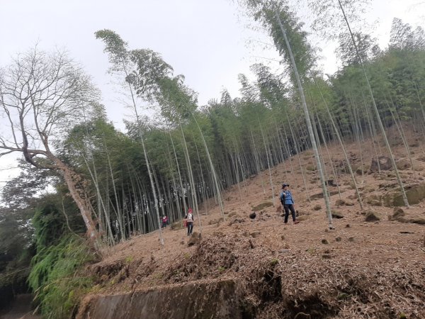 鹿谷小半天6峰連走1269680