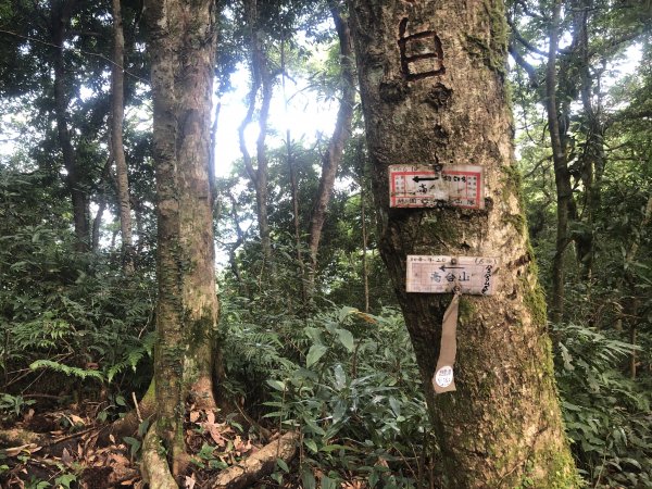 2020/09/13高島縱走P繞1101689