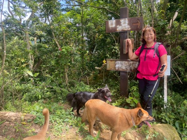 苗栗縣獅潭鄉鳴凰古道O型縱走2803668