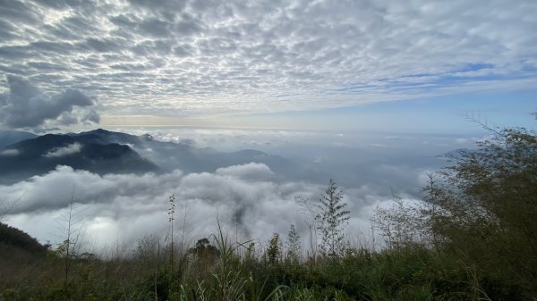 20250119二延平步道2716347