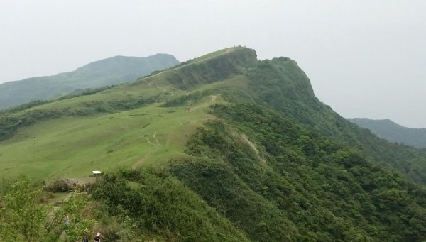 2021/04/01桃源谷大溪+草嶺福隆連走1332097