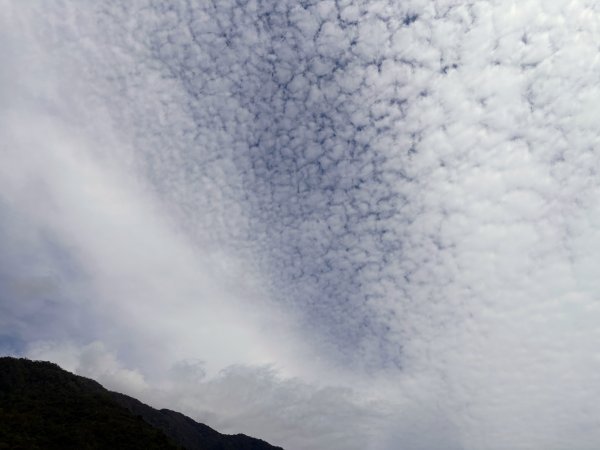 林田山林業文化園區2728241