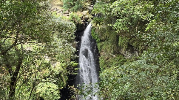 解鎖山頂鳥百山百鳥滿月園任務，滿月圓森林遊樂區是台北近郊瀑布最多的森林遊樂區，夏季首選，涼爽舒服2866667
