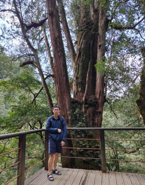 拉拉山國家森林遊樂區2752269