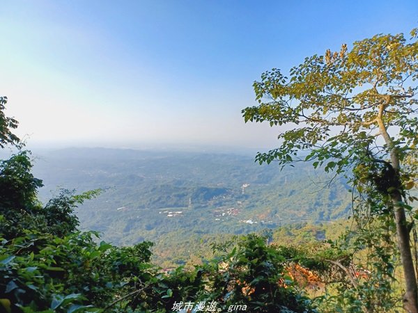 【台南。東山】 適合親子悠遊行。 小百岳集起來。 編號64小百岳-崁頭山步道1558966