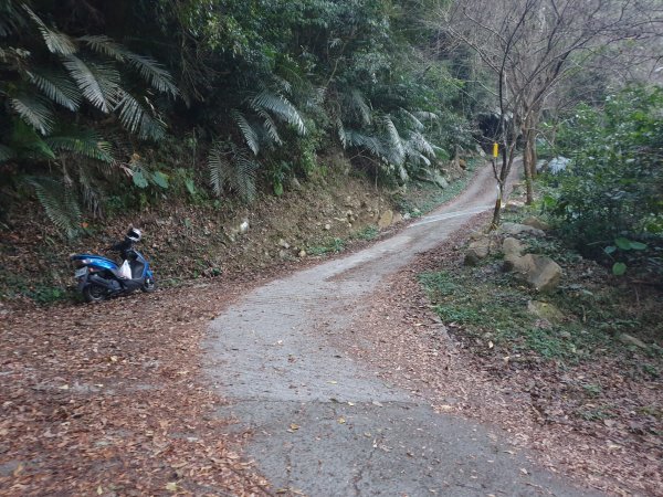 冬瓜山步道與洗水山1560926