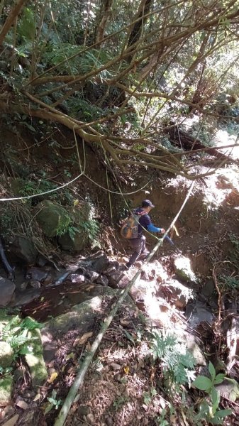 新店小粗坑赤蘆古道越嶺O型2784482