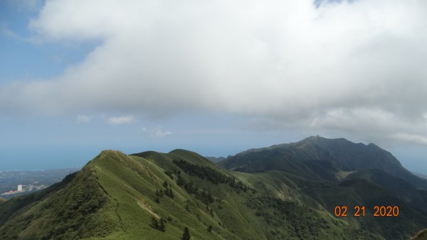 有點味道但依然槓龜-雲山水844971