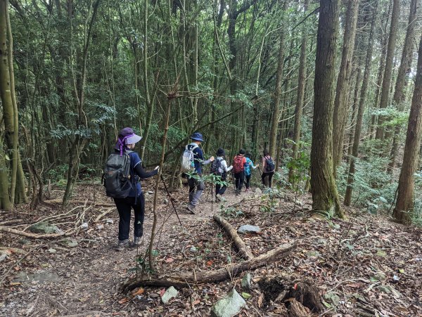 谷關七雄：屋我尾山（大雪山林道來回）1773194