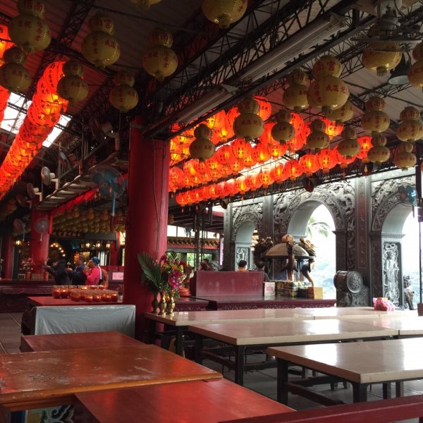 北縱七段抓了10隻博蒂742222