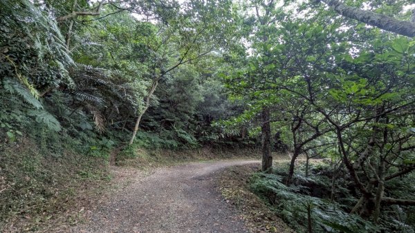 114.06.21大竹坑山-小粗坑山-石門山之旅2818867