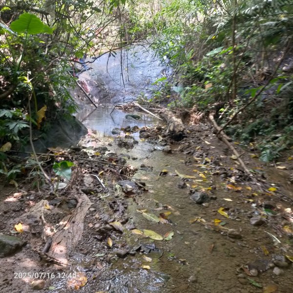 皮皮：六寮古道+獅山古道2838687
