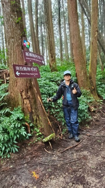 神阿縱走~台灣難抵極~大塔山2971400