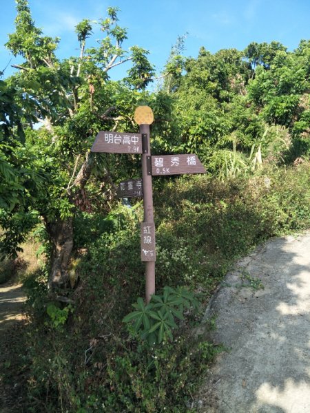 阿罩霧山、中心瓏步道1919411