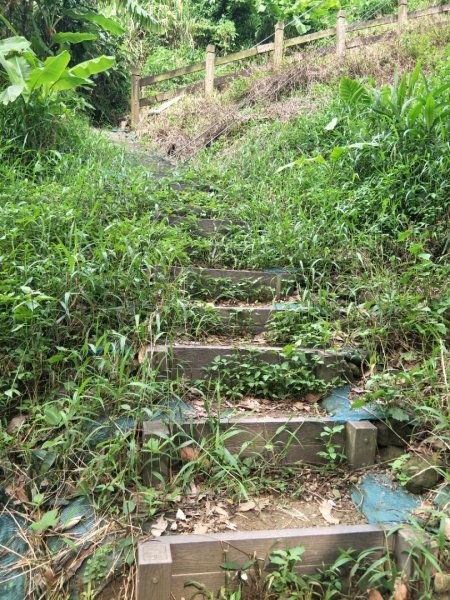 劍文山、獅額山、坪頂山步道1452466