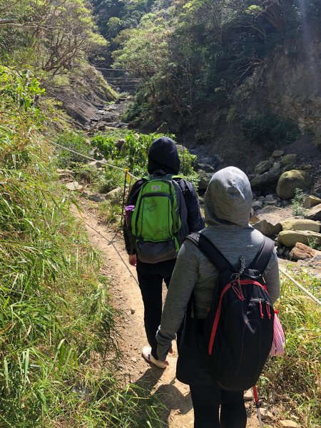 2020.03.08里龍山878271