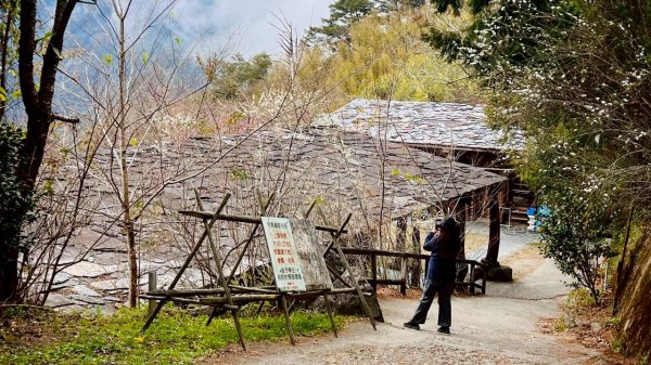 🌈2/7（六）-2/8（日）上帝部落~司馬庫斯神木2日深度之旅✨FB：熊熊趴爬走🌈🌈2995226