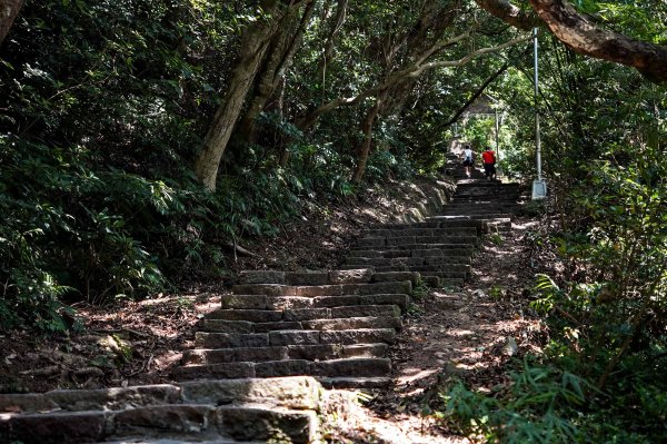 觀音山 硬漢嶺2870042