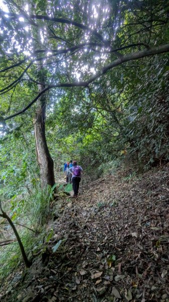 九份二山步道2861241
