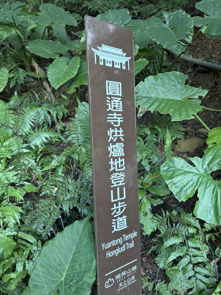 文筆山-南勢角山連走2711334