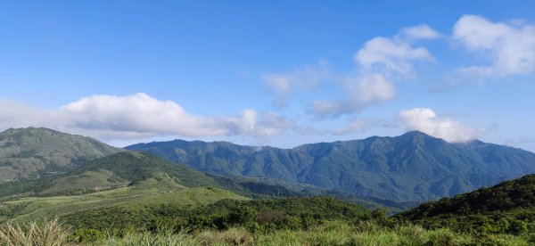 20230527 風櫃嘴-魚路古道-金山2252685