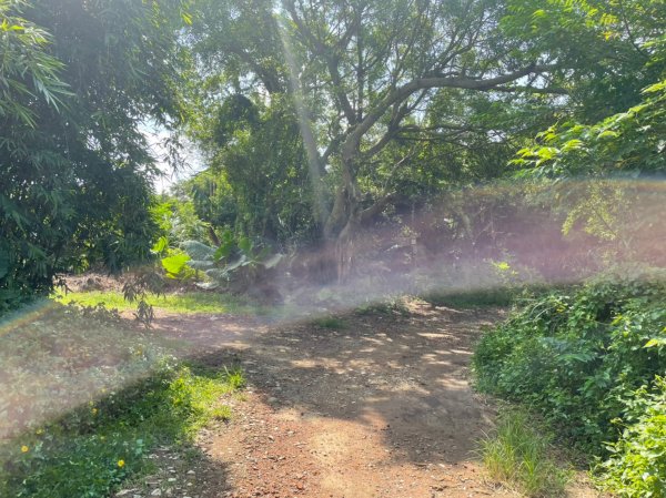 台北｜北投．士林 臺北大縱走第一段1487840