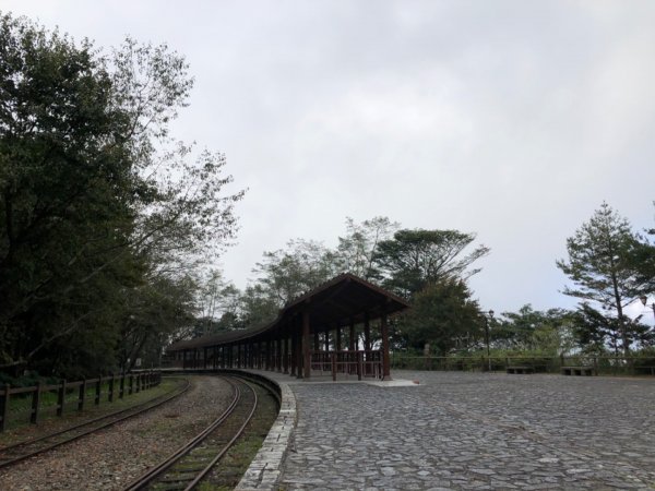 阿里山水山巨木、祝山觀日步道、對高岳步　726990