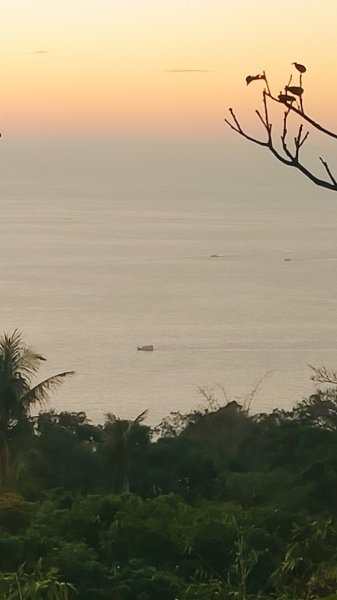 柴山夜爬看夕陽2993431