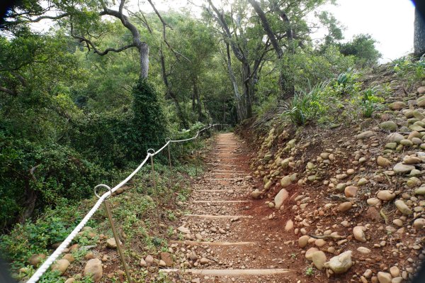 新竹 新埔 犁頭山、吧哩國山、石頭坑山2936766