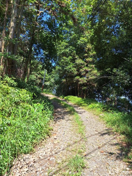 埔里枇杷城山+犁頭尖山+虎子山2585361