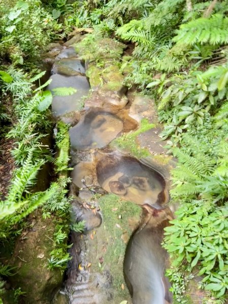 南港山(小百岳#13)/中華科技大學南港山來回2938267