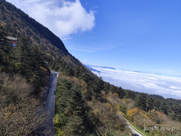 四川峨眉山、成都索菲斯錦苑賓館 (2-2)2940342