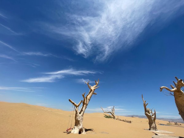 多彩塞北阿拉善.騰格里沙漠六湖穿越2919966