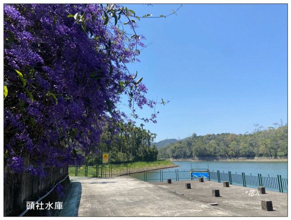 龜子坑山 (南投、魚池)2755640