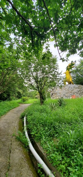 2023-06-10桃園石門山步道2177573