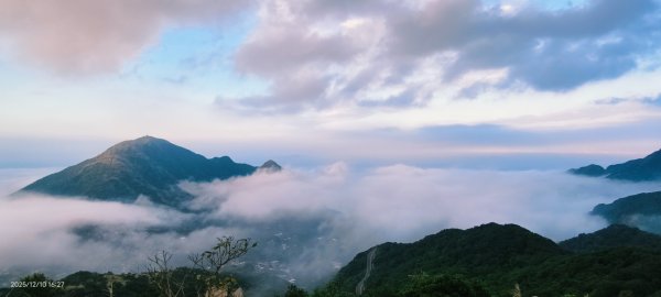 #樹梅坪 #金瓜石 12/102958923