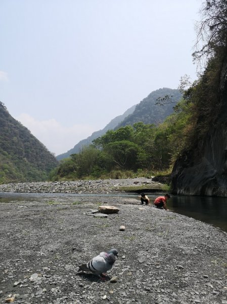 巴庫拉斯，七彩湖1339180