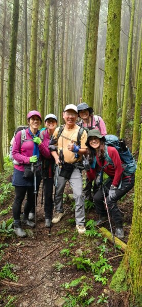 縱走大鳥鵝2828380