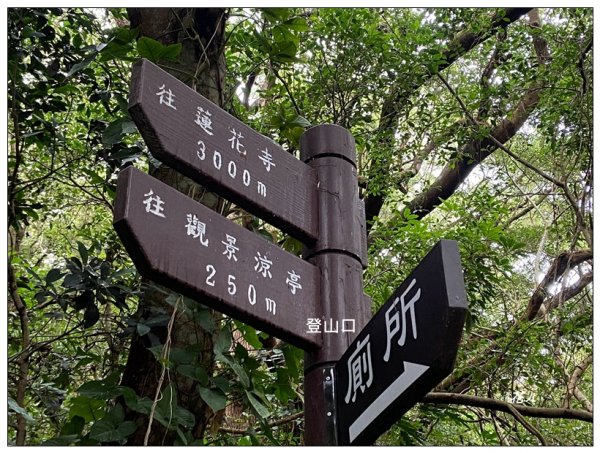 鳳崎落日步道、山腳山2713466