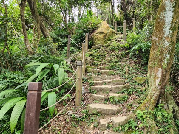 小百岳No.14⛰天上山2827780