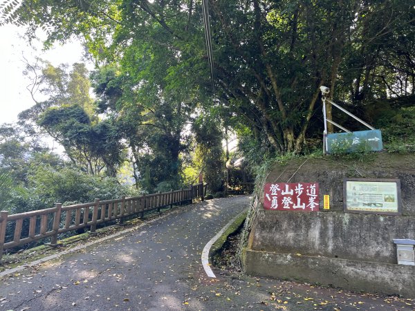 [山頂鳥40周年會員大縱走-10/15] 2024_0721 獅山古道2557366