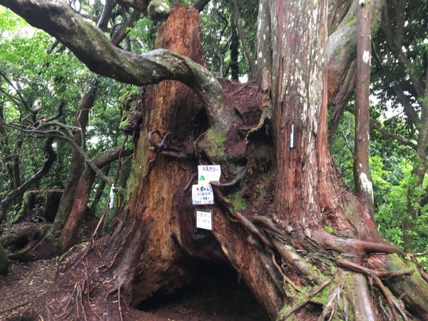 2018/06/18高台山連走島田三山353798