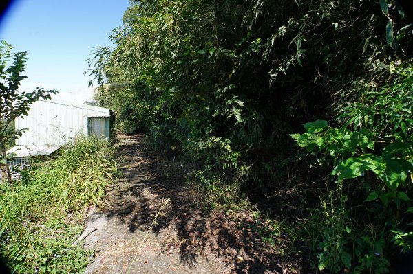 台中 和平 雪山坑山2925062