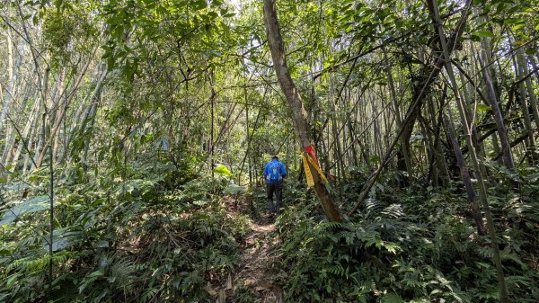 115.04.12金平山西峰-蝙蝠洞之旅3034709