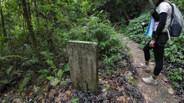 白毛山(谷關七雄No:6)3069005