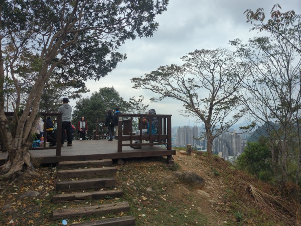 2025.12.14－微笑山線：【二格山系】和美山螢火蟲段2966255