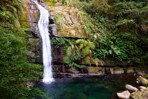 光影森林-那結山縱走貴妃山773719