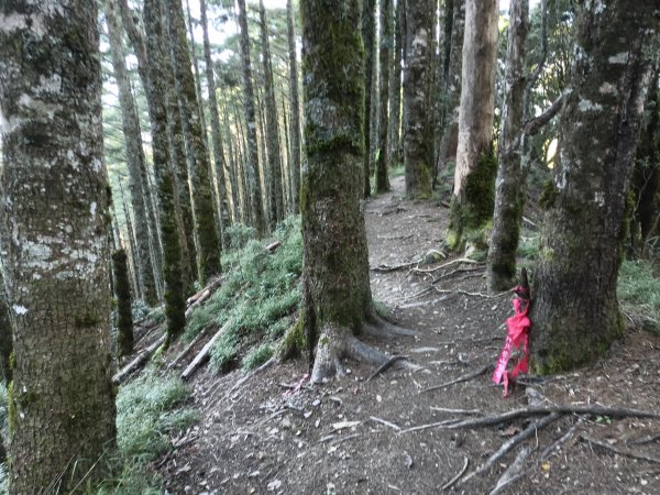 北一段(02/14)多加屯前峰2025_0906~132885106