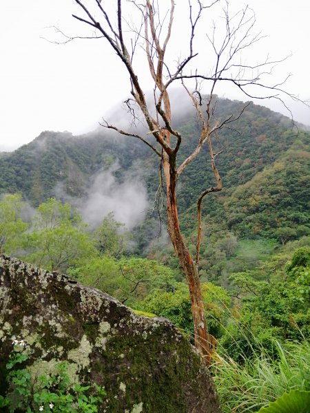 賞景果真要有好體力耐高力~錐麓古道(斷崖768341