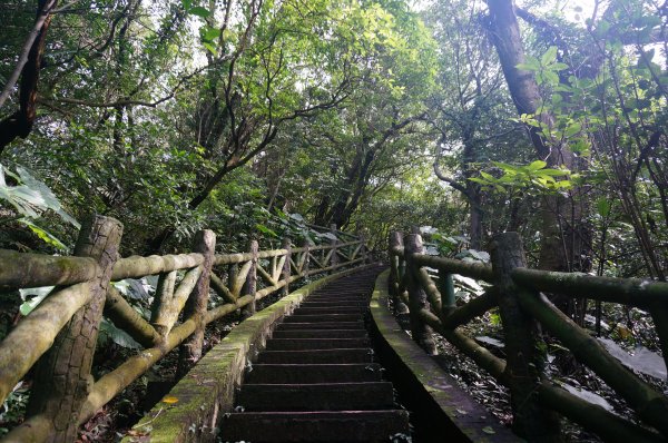 大武崙山 大武崙砲台 情人湖 連走2037507